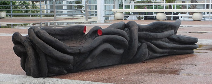 Systèmes racinaires